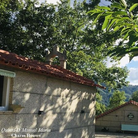 Amarante-Quinta D'Manuel Maria, Rural Charm Houses Экстерьер фото