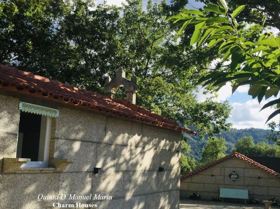 Amarante-Quinta D'Manuel Maria, Rural Charm Houses Экстерьер фото